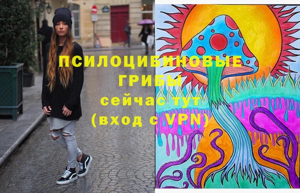гидра Приозерск