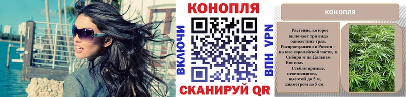 что такое наркотик Салаир Каннабис MAZAR